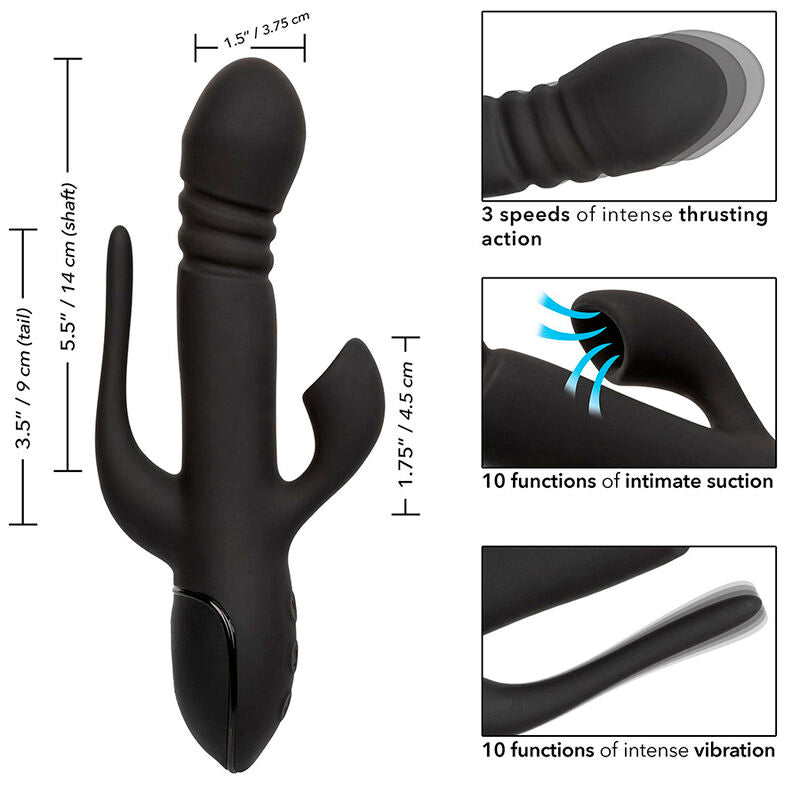 CALEXOTICS - VIBRATOR TROSTRUKA EUFORIJA CRNI