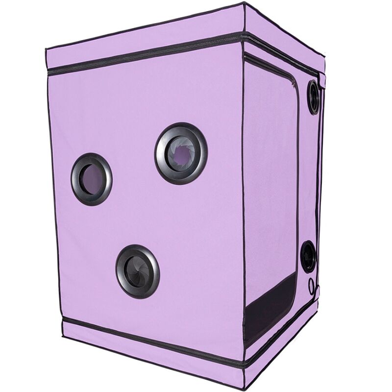 SECRET DOME - KINK KLUB KABINA SKANDAL PURPLE