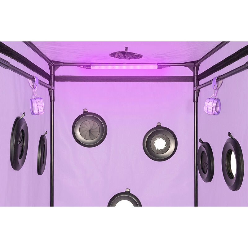 SECRET DOME - KINK KLUB KABINA SKANDAL PURPLE